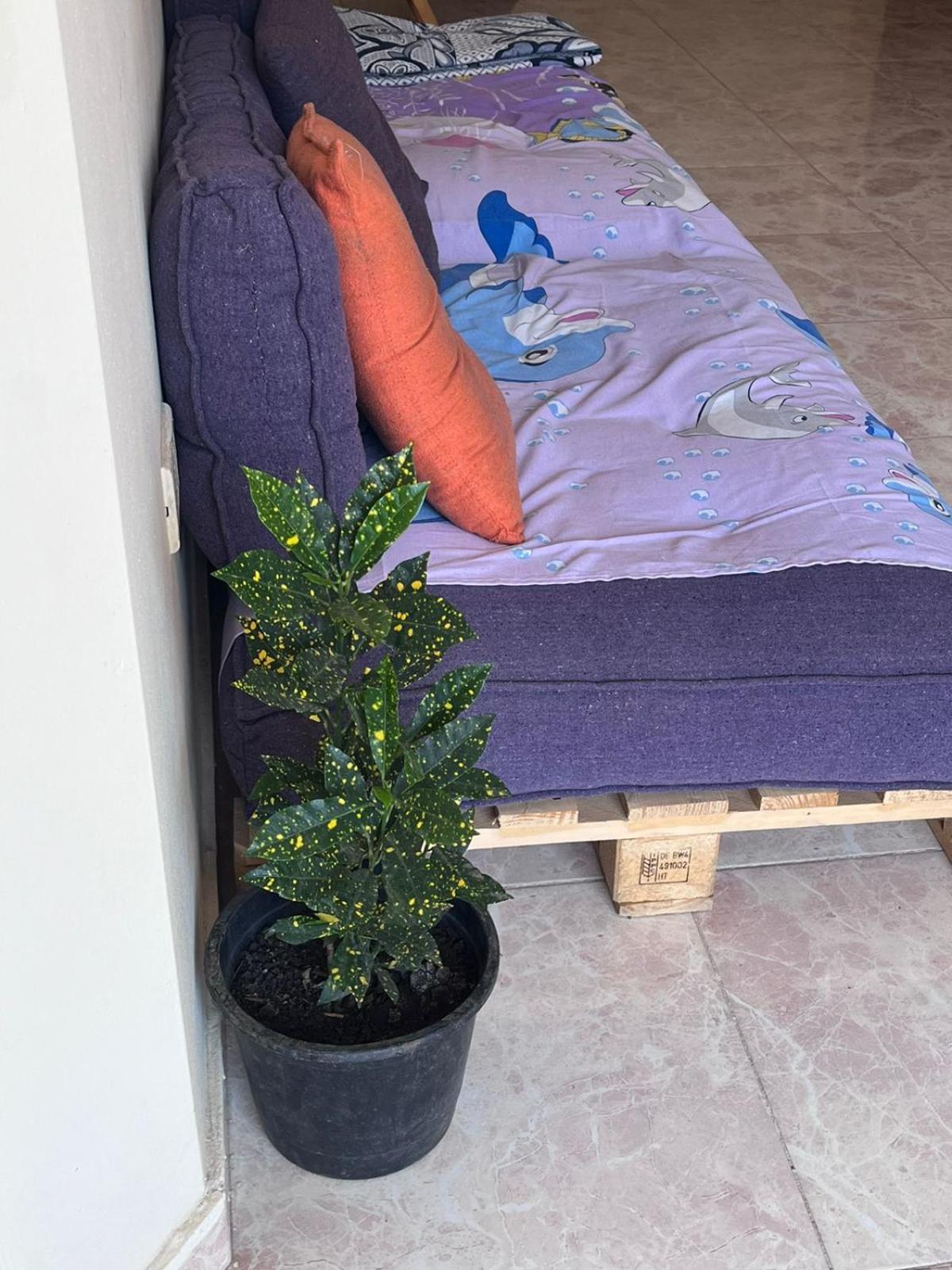Taher Cairo Hostel מראה חיצוני תמונה